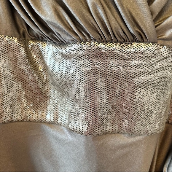 Tadashi Shoji Plus Size Cocktail/Evening Dress in Taupe - Picture 9 of 10